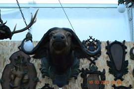 Expo-Aventuri 2013